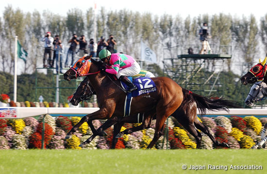 Shuka Sho (JPN G1)