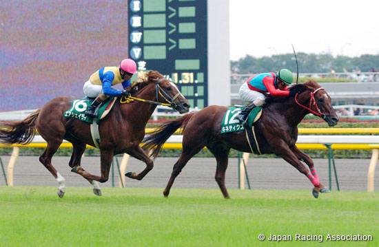 Fuji Stakes (JPN G3)