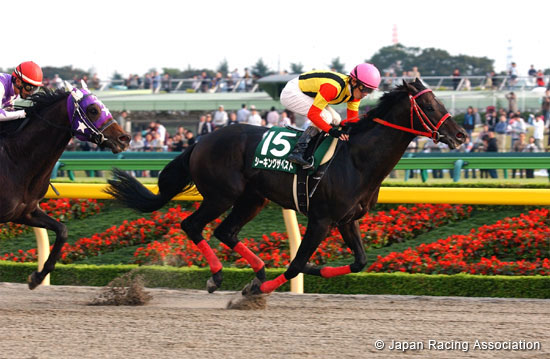 Tokyo Chunichi Sports Hai Musashino Stakes (JPN G3)