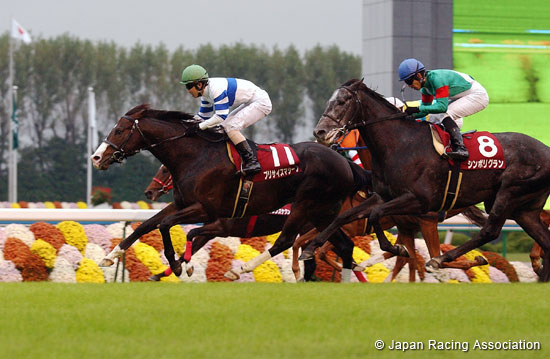 Mainichi Broadcast. Swan Stakes (JPN G2)