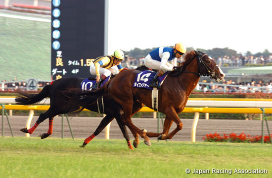Tenno Sho (Autumn) (JPN G1)