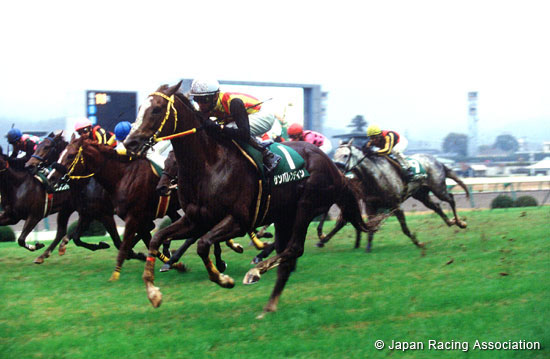 Fukushima Kinen (JPN G3)