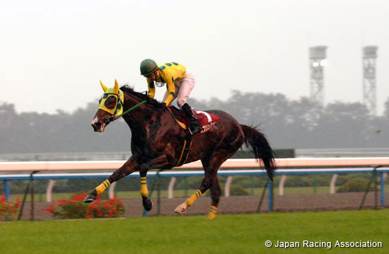 Kyoto High-Jump (J-G2)