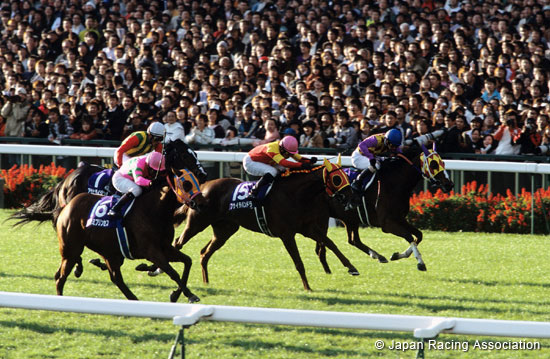Queen Elizabeth II Commemorative Cup (JPN G1)