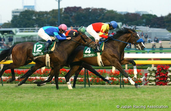 Tokyo Sports Hai Nisai Stakes (JPN G3)