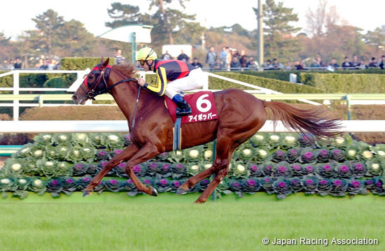 Sports Nippon Sho Stayers Stakes (JPN G2)