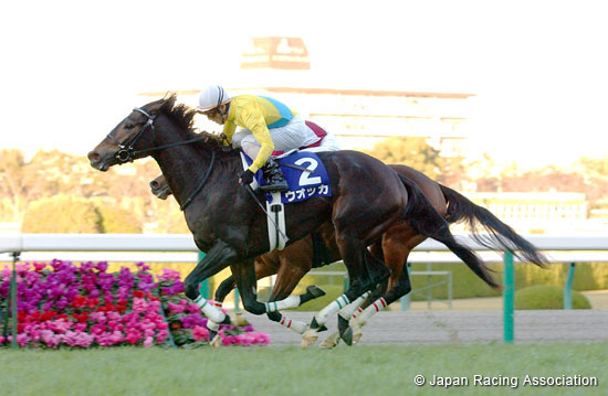 Hanshin Juvenile Fillies (JPN G1)