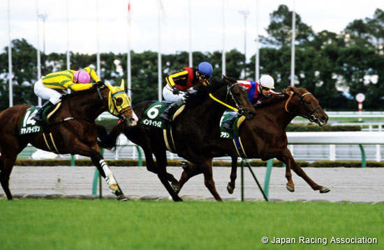 Chunichi Shimbun Hai (JPN G3)