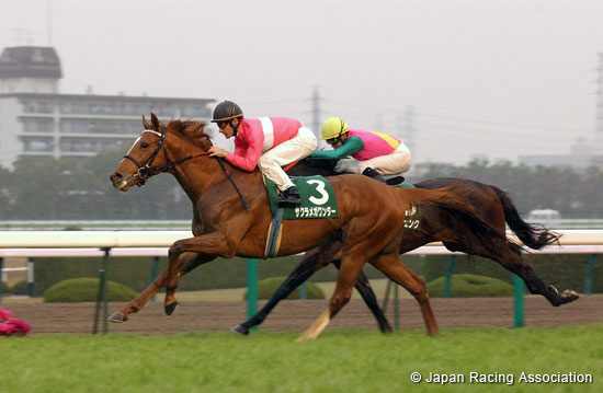 Naruo Kinen (JPN G3)