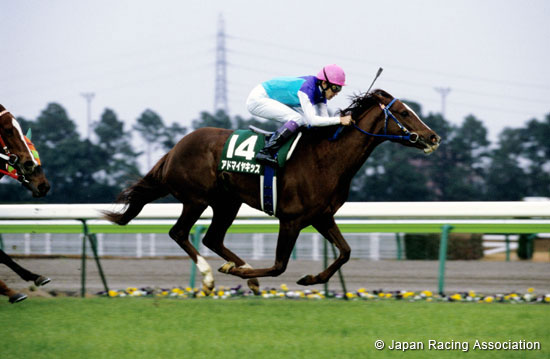 Aichi Hai (JPN G3)