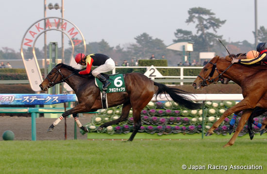 Fairy Stakes (JPN G3)