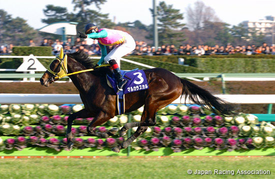 Nakayama Daishogai (J-G1)