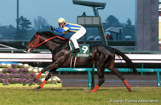 Nikkan Sports Sho  Nakayama Kimpai (G3)