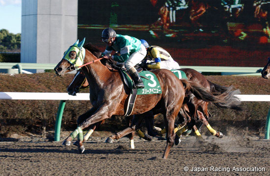 Garnet Stakes (G3)