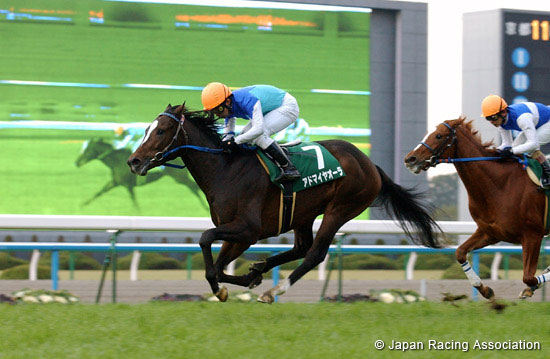 Nikkan Sports Sho  Shinzan Kinen
