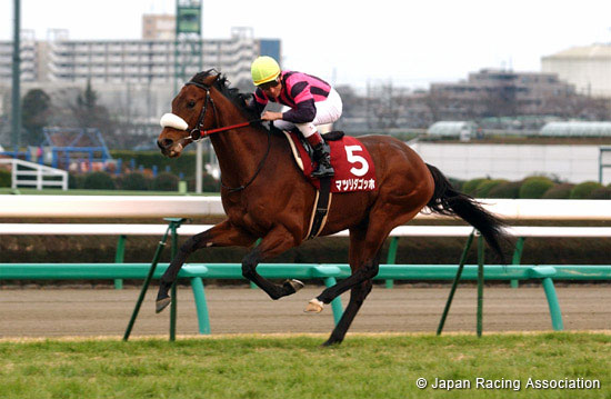 American Jockey Club Cup