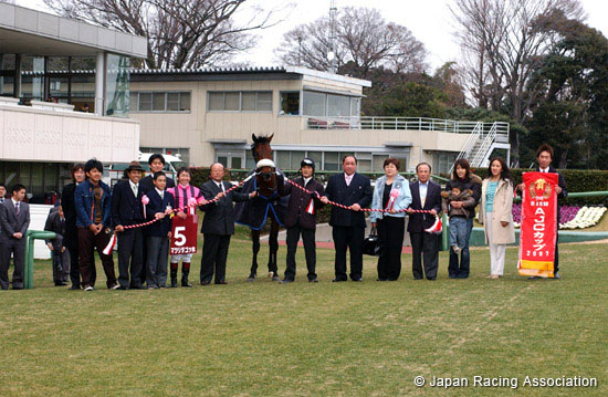 American Jockey Club Cup