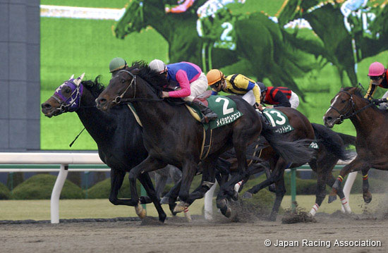Heian Stakes (G3)