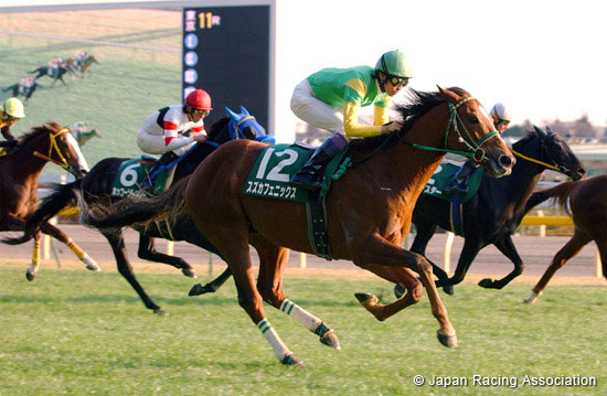 Tokyo Shimbun Hai (G3)