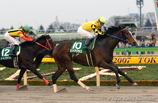 Negishi Stakes (G3)