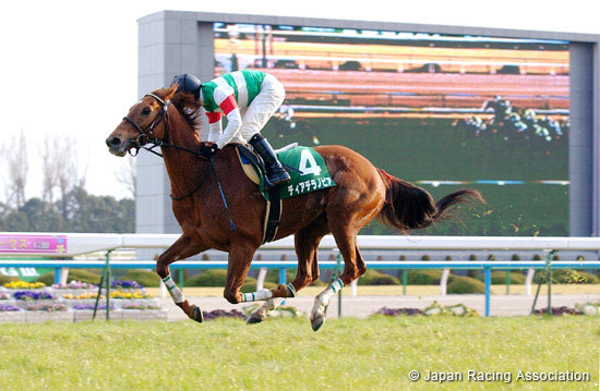 Kyoto Himba Stakes (G3)