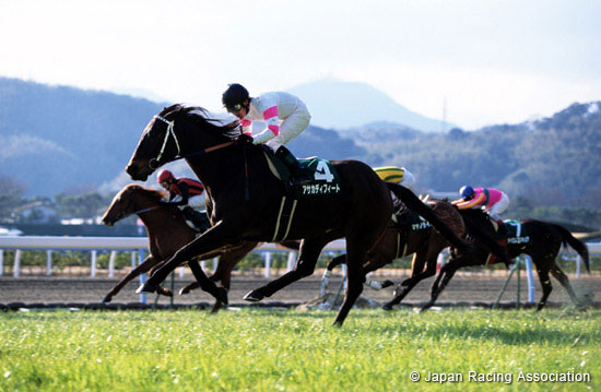 Kokura Daishoten