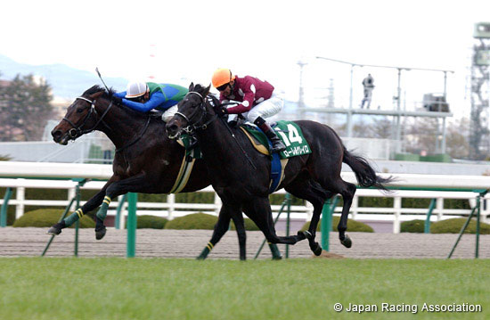 Arlington Cup