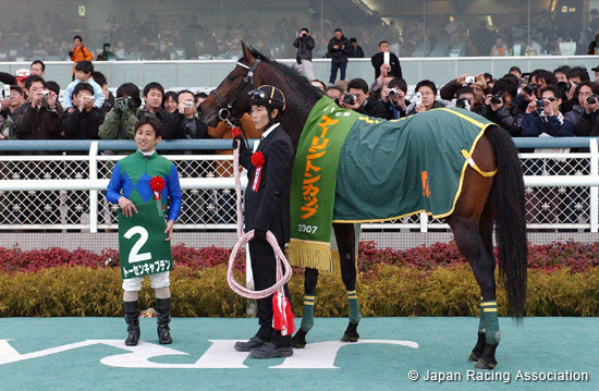 Arlington Cup