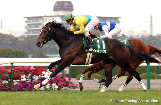 Tulip Sho  (Japanese 1000 Guineas Trial)