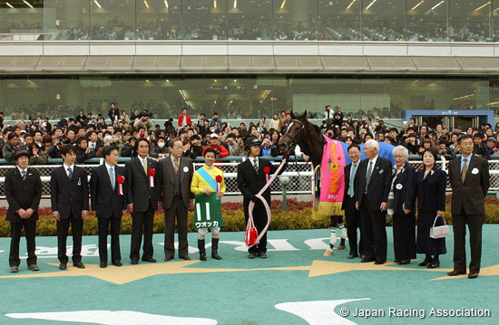 Tulip Sho  (Japanese 1000 Guineas Trial)