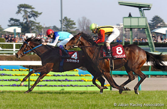 Hochi Hai Yayoi Sho  (Japanese 2000 Guineas Trial)