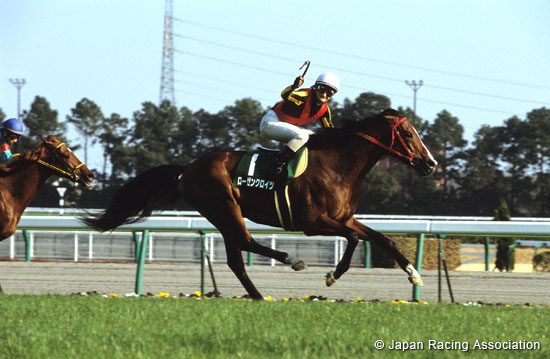 Toyota Sho  Chukyo Kinen (G3)