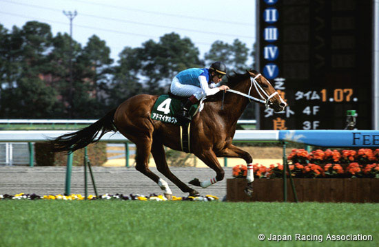 Chunichi Sports Sho  Falcon Stakes