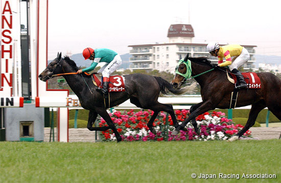 Hanshin Spring Jump (J-G2)
