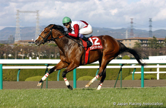 Hochi Hai Fillies' Revue  (Japanese 1000 Guineas Trial)