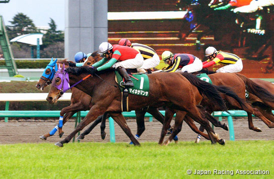 Laurel R. C. Sho  Nakayama Himba Stakes (G3)