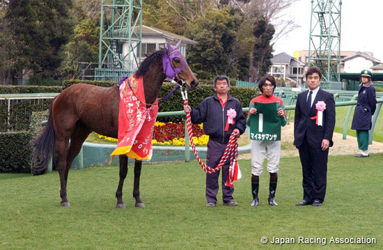 Laurel R. C. Sho  Nakayama Himba Stakes (G3)