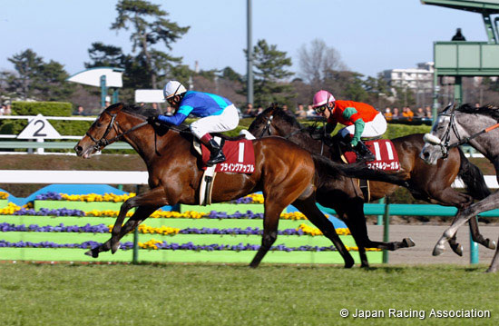 Fuji TV Sho Spring Stakes  (Japanese 2000 Guineas Trial)