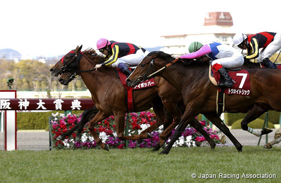 Hanshin Daishoten (G2)