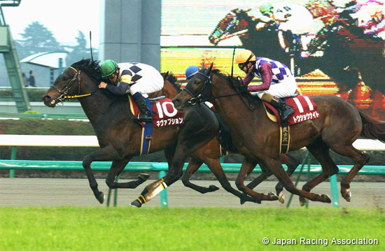 Nikkei Sho (G2)