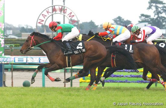 Pegasus Jump Stakes