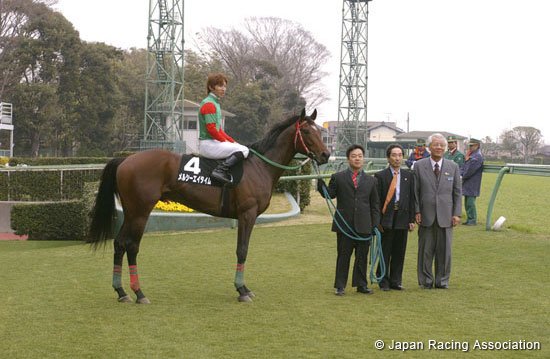 Pegasus Jump Stakes