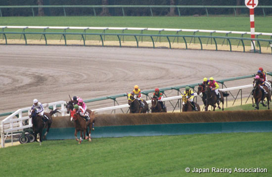 Pegasus Jump Stakes