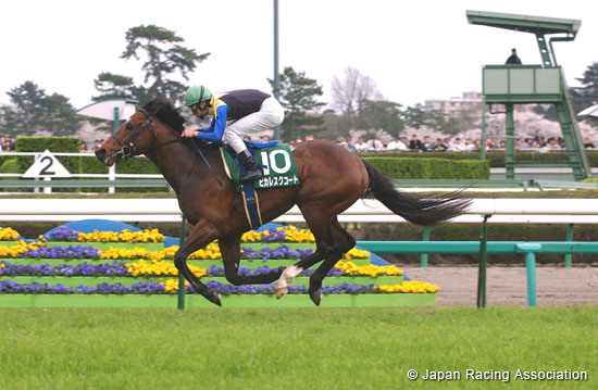 Lord Derby Challenge Trophy (G3)