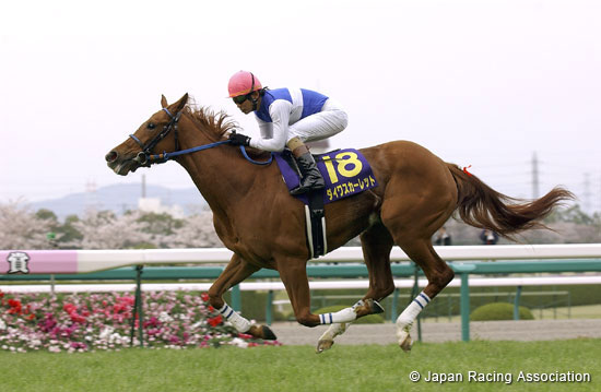 Oka Sho (Japanese 1000 Guineas)