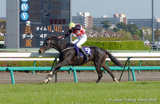 Nakayama Grand Jump (International Invitational) (J-G1)