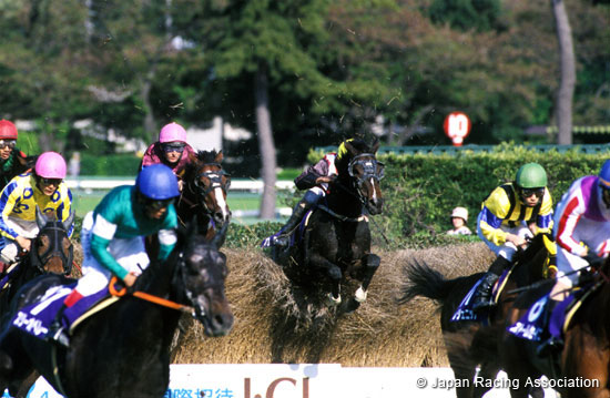 Nakayama Grand Jump (International Invitational) (J-G1)