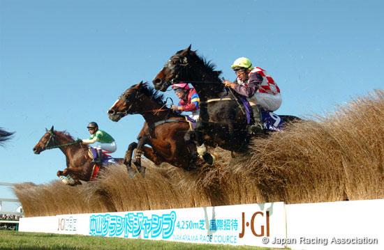 Nakayama Grand Jump (International Invitational) (J-G1)