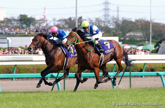 Satsuki Sho (Japanese 2000 Guineas)