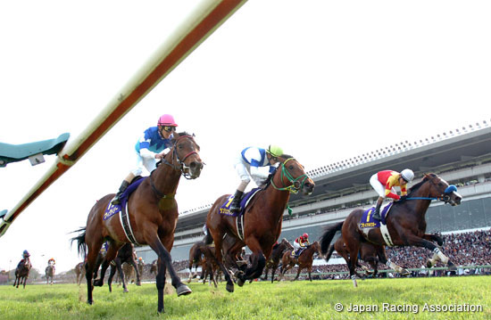 Satsuki Sho (Japanese 2000 Guineas)